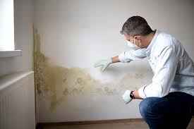 Best Industrial Mold Remediation  in Rio Vista, TX